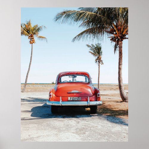 Re beetle beside coconut trees poster