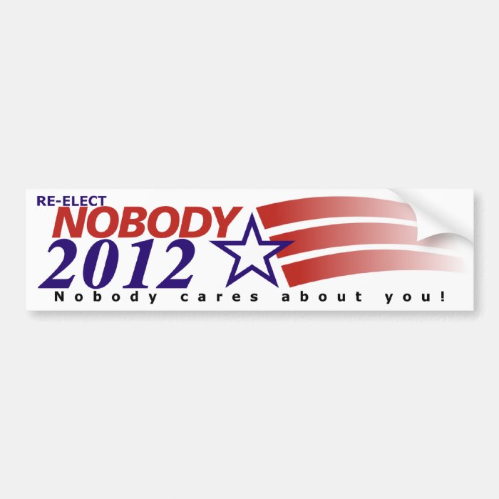 Re-Elect Nobody 2012 Bumper Sticker | Zazzle