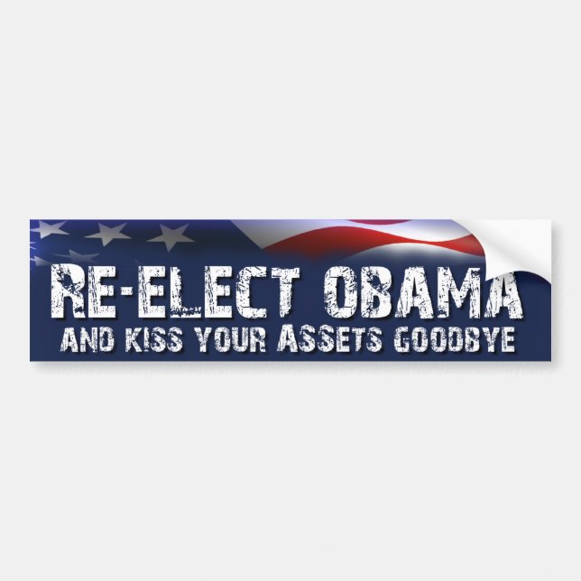 Re-Elect Obama - Anti Obama Election Bumper Sticker (Front)