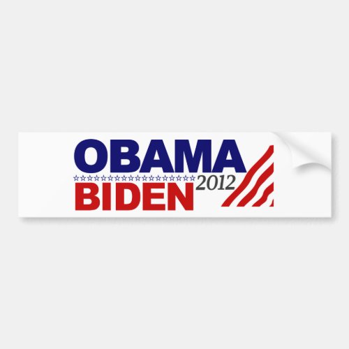 Re_Elect Obama Biden 12 Bumper Sticker