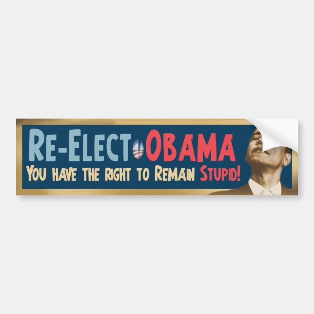 Re-Elect Obama, Stupid! Bumper Sticker (Front)