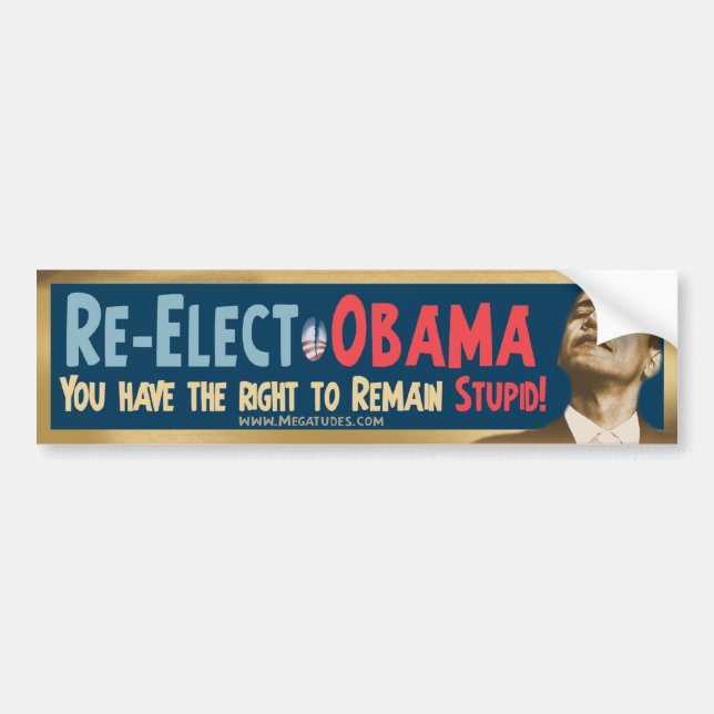 Re-Elect Obama, Stupid! Bumper Sticker (Front)