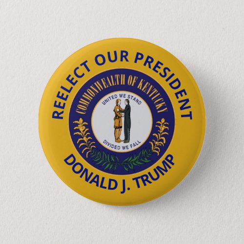Re_elect our president button