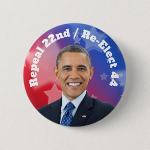Re-Elect President Obama Button