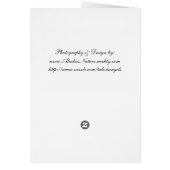 Reach for the moon..... (Back)