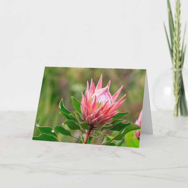 Reach for the sky card (Front)