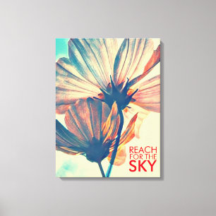 Reach for the Sky Cosmos Flower Canvas Print