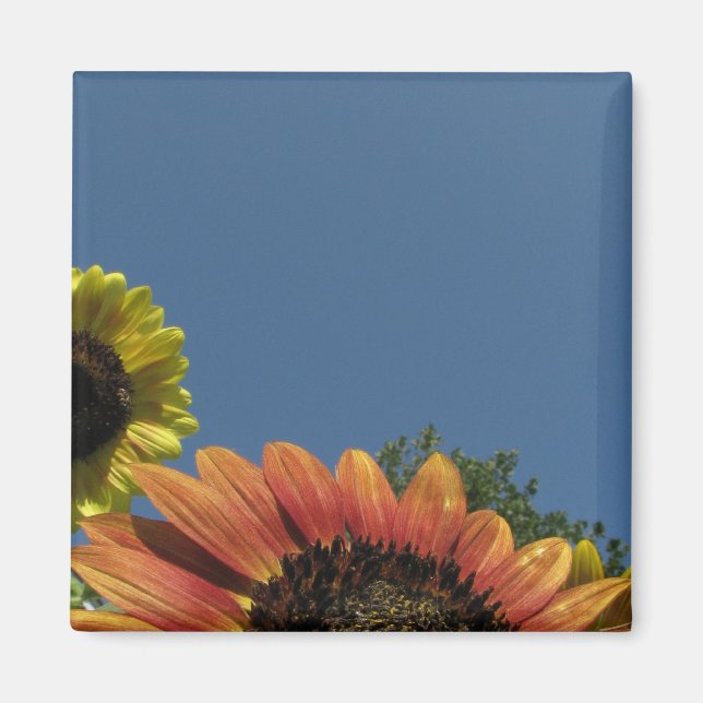 Reach for the sky! magnet (Front)