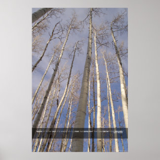 Reach up to the Sky Poster