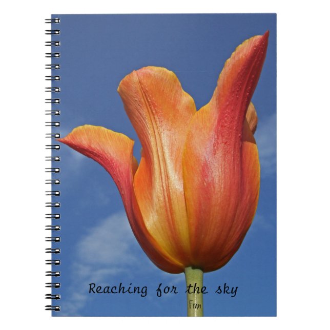 reaching for the sky notebook (Front)