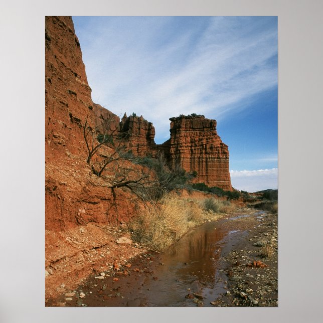 Reaching for Water Poster (Front)