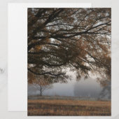Reaching Out (Front/Back)