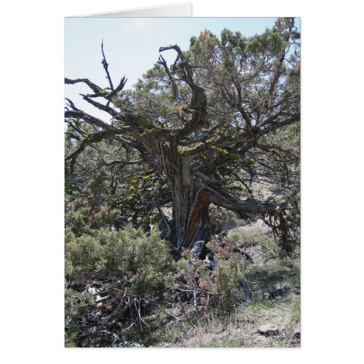 Reaching out (Front)