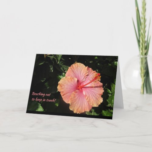 Reaching Out to Keep In Touch Blank Pink Hibiscus Card