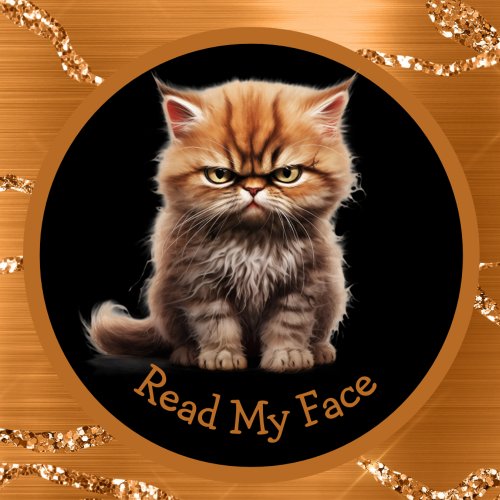 Read My Face Or Your Text Orange Tabby Cat Mug