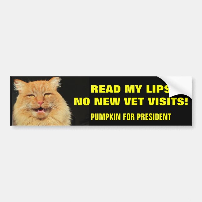Read My Lips...Pumpkin for President Bumper Sticker (Front)