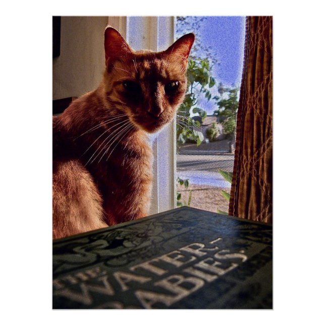 Read My Mind, Cat Poster (Front)