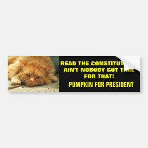 Read the Constitution? Ain't Nobody.... Bumper Sticker