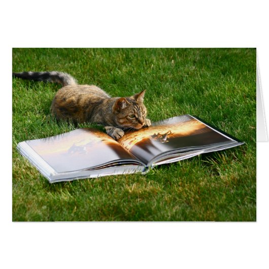 Reading Cat Cards (Front Horizontal)