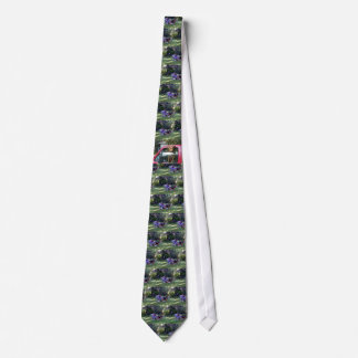READING IN THE AFTERNOON TIE