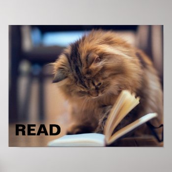 Reading Poster To Support Literacy In Children by schoolpsychdesigns at Zazzle