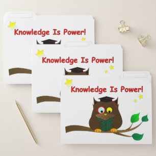 Reading Wise Owl File Folder