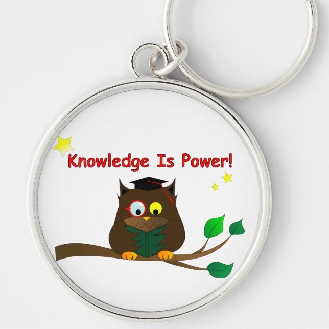 Reading Wise Owl Keychain (Front)