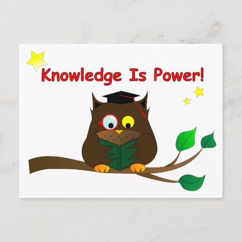 Reading Wise Owl Postcard