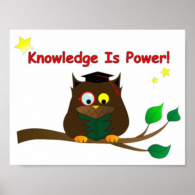 Reading Wise Owl Poster (Front)