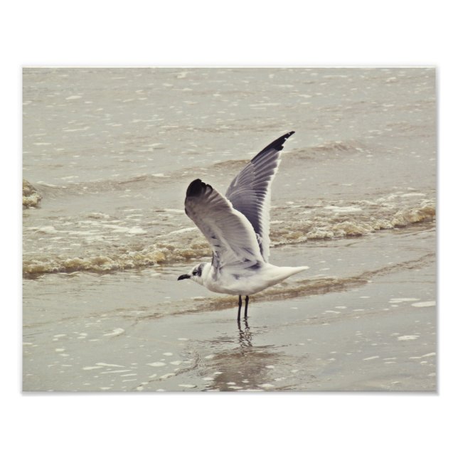 Ready for flight Photo (Front)