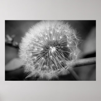 Ready for Take Off!!! Poster