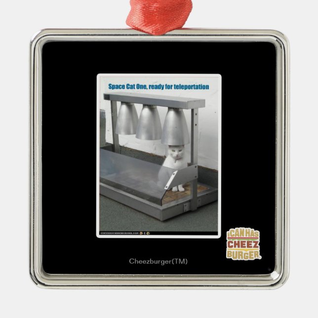 Ready for Teleportation Metal Ornament (Front)