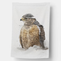 Ready For The Snow House Flag