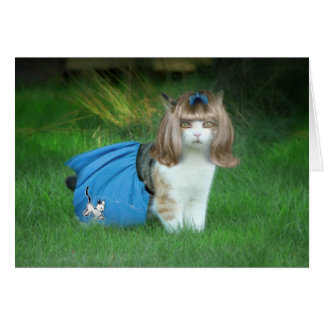 Ready for the Sock Hop!