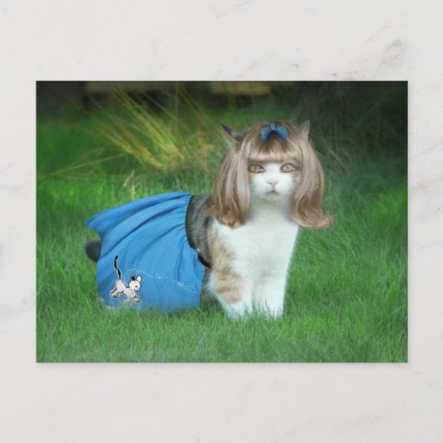 Ready for the Sock Hop! Postcard (Front)