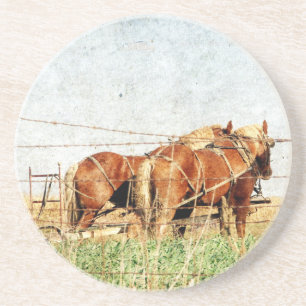 Ready For Work, Two Draft Horses Sandstone Coaster