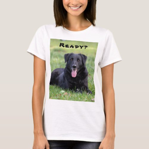 Ready Friendly Black Lab Mix Dog Photo T_Shirt