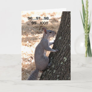 Ready or Not Squirrel Thank You Card