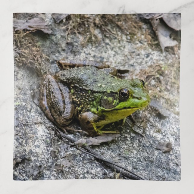 Ready to Go Trinket Tray (Front)