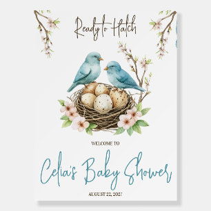 Ready to Hatch! Cute Birds Baby Shower Welcome Foam Board