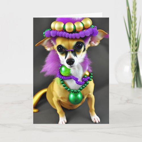 Ready to Party  Mardi Gras Chihuahua Card