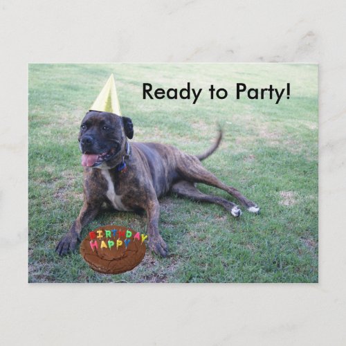 Ready to Party with Birthday Dog and Brownie Cake Invitation Postcard