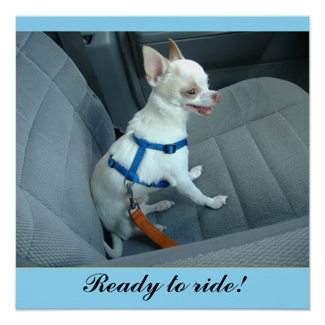 Ready to Ride Glossy Poster (Front)