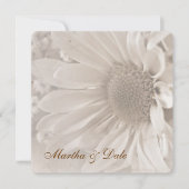 Reaffirmation of Vows daisy invitation (Front)