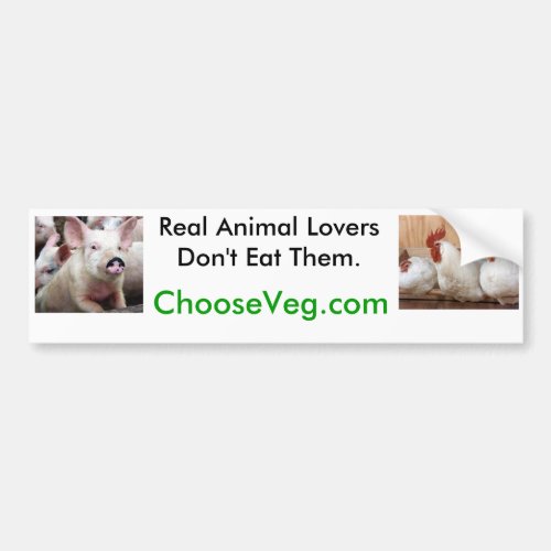 Real Animal Lovers Dont Eat Them Bumper Sticker