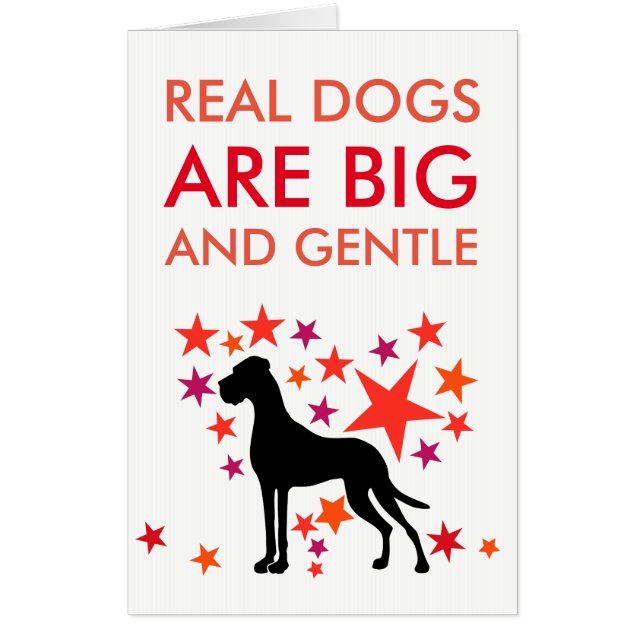 Real big Dogs Great Dane Card (Front)
