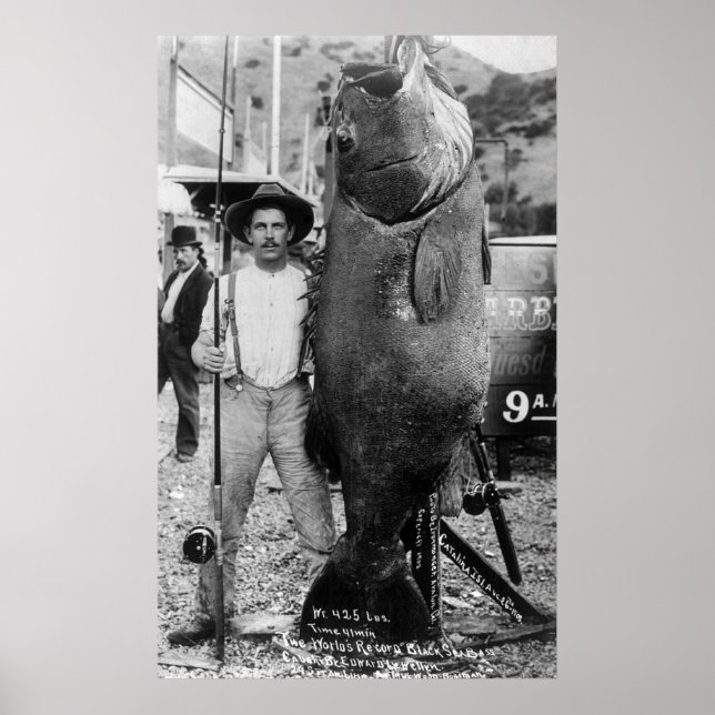 Real Big Fish, early 1900s Poster (Front)