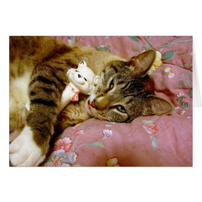 Real Cat, Fake Cat Cards (Front Horizontal)