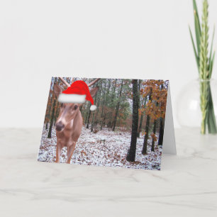 Real Deer Sporting Santa Hat Christmas Scene Card