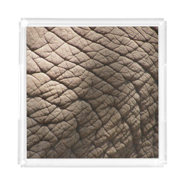 Real Elephant Skin Texture, Wrinkled. Acrylic Tray (Front)